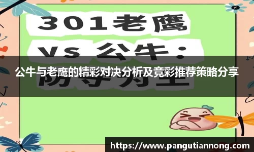 公牛与老鹰的精彩对决分析及竞彩推荐策略分享